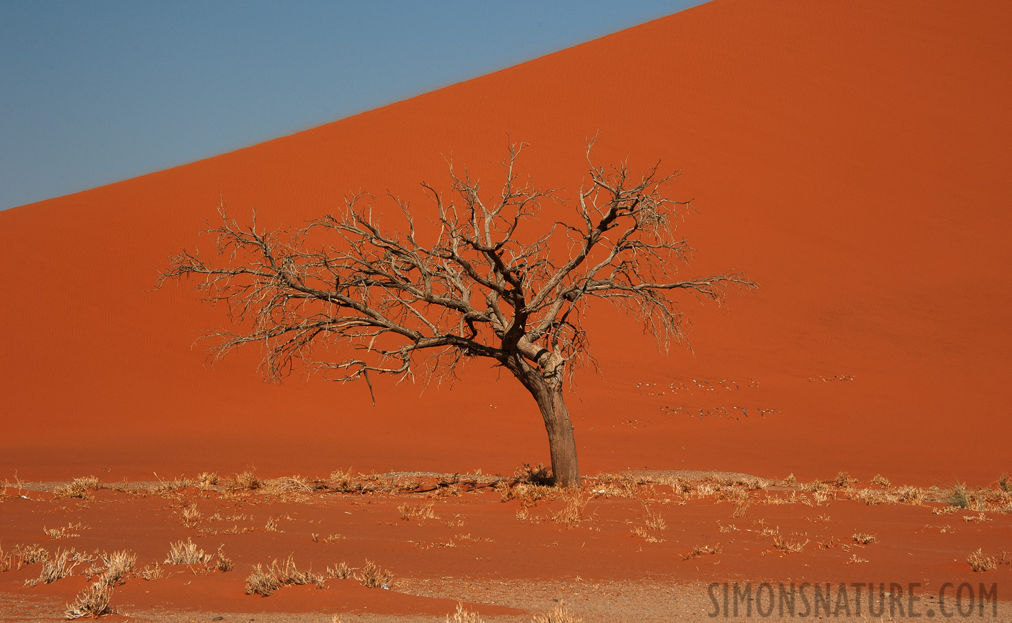 Namib-Naukluft National Park [98 mm, 1/320 Sek. bei f / 11, ISO 400]
